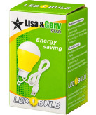 لامپ LED آویز USB پنج ولت Lisa & Gary Star